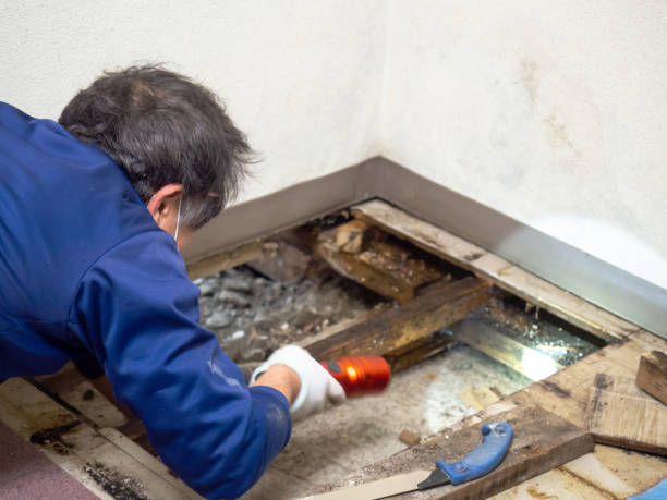 Best Crawl Space Mold Remediation in Krebs, OK