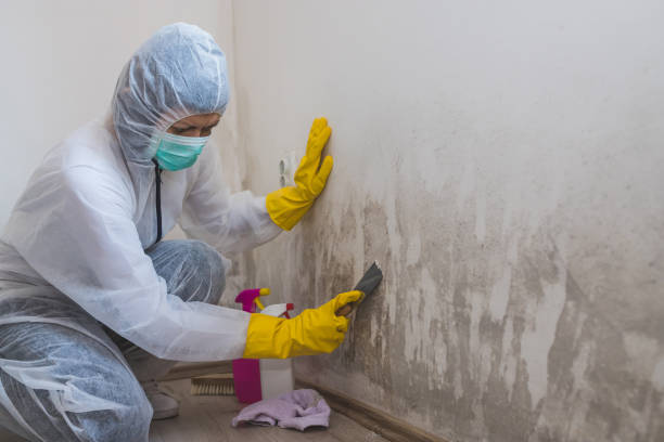 Best HVAC Mold Remediation in Krebs, OK