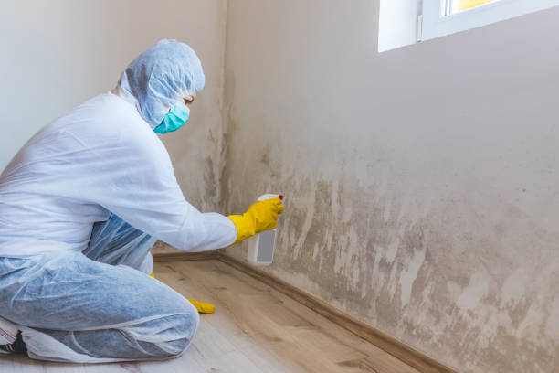 Best Post-Flood Mold Remediation in Krebs, OK