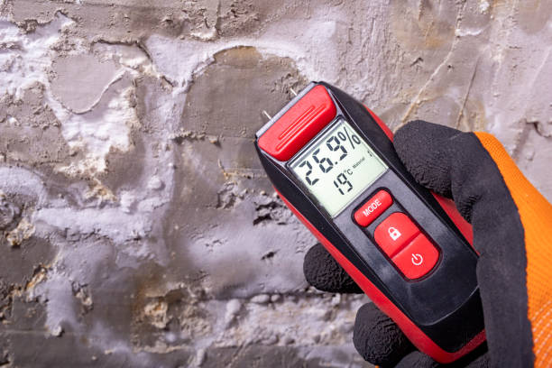 Best Industrial Mold Remediation in Krebs, OK