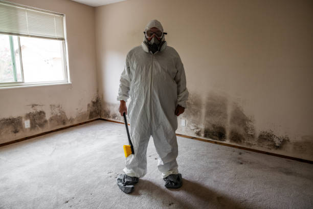 Best Commercial Mold Remediation in Krebs, OK