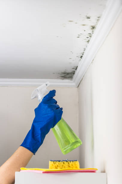 Best Crawl Space Mold Remediation in Krebs, OK